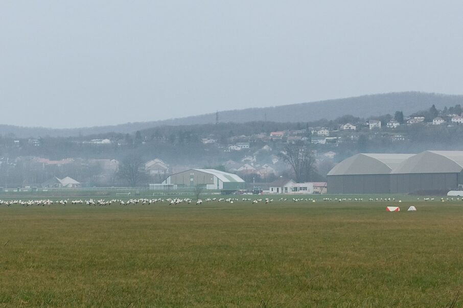 ffvp planeur Centre de vol en planeur de l’aéroclub du Doubs – CVPACD 0